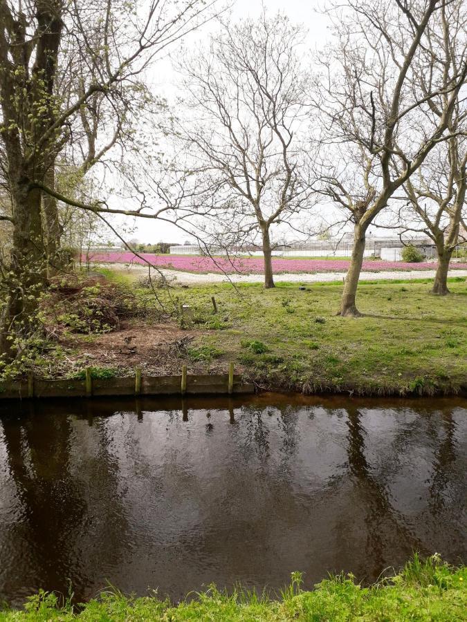 B & B De Gouwe Plek Hoogwoud Exterior foto